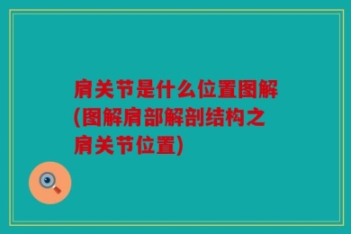 肩关节是什么位置图解(图解肩部解剖结构之肩关节位置)
