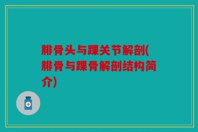 腓骨头与踝关节解剖(腓骨与踝骨解剖结构简介)