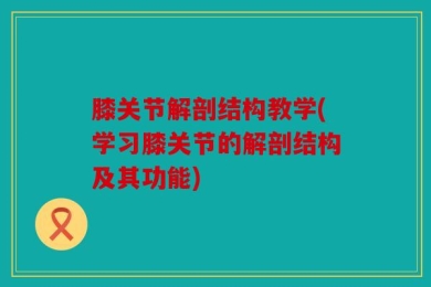 膝关节解剖结构教学(学习膝关节的解剖结构及其功能)