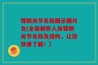 臂膀关节名称图示图片女(全面解析人体臂膀关节名称及结构，让你快速了解！)