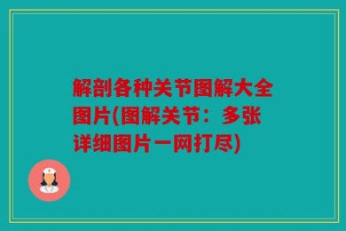 解剖各种关节图解大全图片(图解关节：多张详细图片一网打尽)