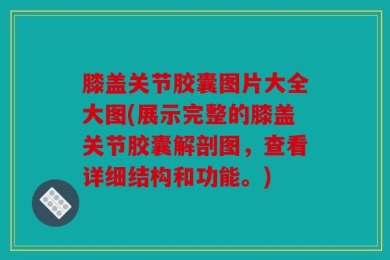 膝盖关节胶囊图片大全大图(展示完整的膝盖关节胶囊解剖图，查看详细结构和功能。)