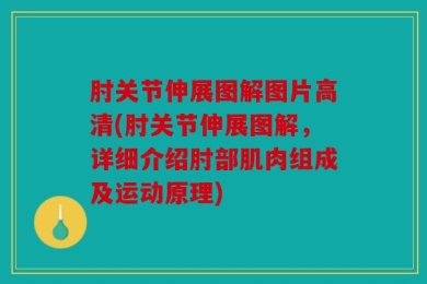 肘关节伸展图解图片高清(肘关节伸展图解，详细介绍肘部肌肉组成及运动原理)