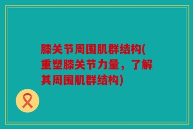 膝关节周围肌群结构(重塑膝关节力量，了解其周围肌群结构)