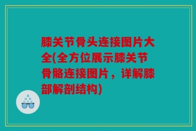 膝关节骨头连接图片大全(全方位展示膝关节骨骼连接图片，详解膝部解剖结构)