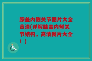 膝盖内侧关节图片大全高清(详解膝盖内侧关节结构，高清图片大全！)
