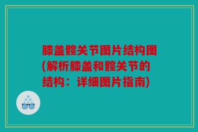 膝盖髋关节图片结构图(解析膝盖和髋关节的结构：详细图片指南)