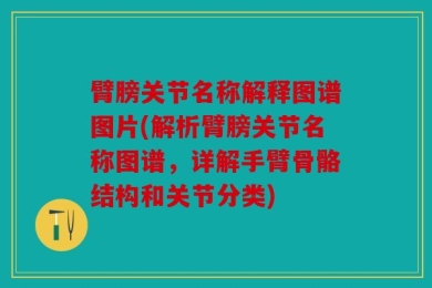 臂膀关节名称解释图谱图片(解析臂膀关节名称图谱，详解手臂骨骼结构和关节分类)