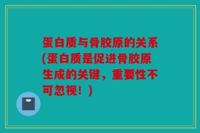 蛋白质与骨胶原的关系(蛋白质是促进骨胶原生成的关键，重要性不可忽视！)