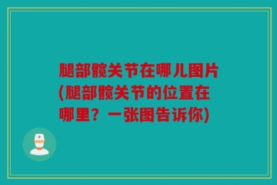 腿部髋关节在哪儿图片(腿部髋关节的位置在哪里？一张图告诉你)