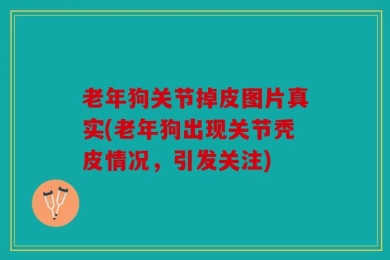 老年狗关节掉皮图片真实(老年狗出现关节秃皮情况，引发关注)