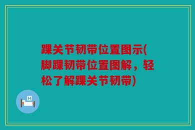 踝关节韧带位置图示(脚踝韧带位置图解，轻松了解踝关节韧带)