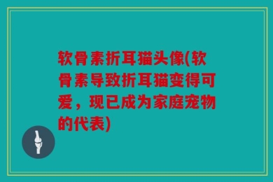 软骨素折耳猫头像(软骨素导致折耳猫变得可爱，现已成为家庭宠物的代表)