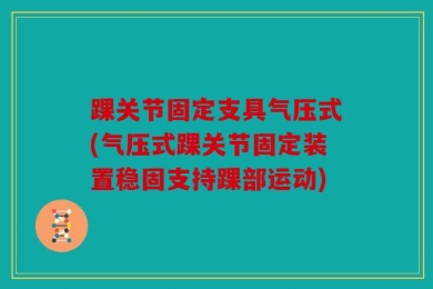 踝关节固定支具气压式(气压式踝关节固定装置稳固支持踝部运动)