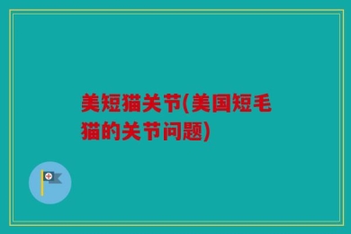 美短猫关节(美国短毛猫的关节问题)