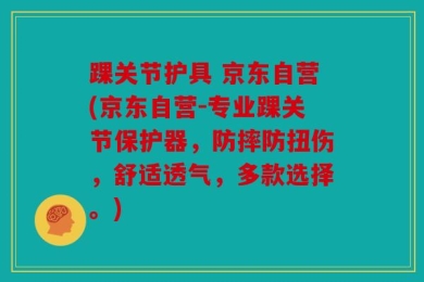 踝关节护具 京东自营(京东自营-专业踝关节保护器，防摔防扭伤，舒适透气，多款选择。)
