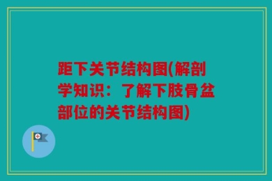 距下关节结构图(解剖学知识：了解下肢骨盆部位的关节结构图)