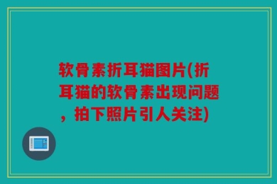 软骨素折耳猫图片(折耳猫的软骨素出现问题，拍下照片引人关注)