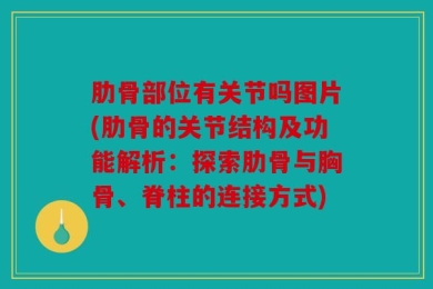 肋骨部位有关节吗图片(肋骨的关节结构及功能解析：探索肋骨与胸骨、脊柱的连接方式)