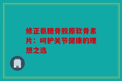修正氨糖骨胶原软骨素片：呵护关节健康的理想之选