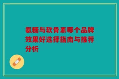 氨糖与软骨素哪个品牌效果好选择指南与推荐分析