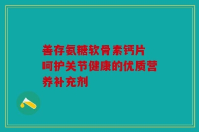善存氨糖软骨素钙片 呵护关节健康的优质营养补充剂