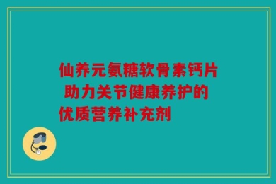 仙养元氨糖软骨素钙片 助力关节健康养护的优质营养补充剂