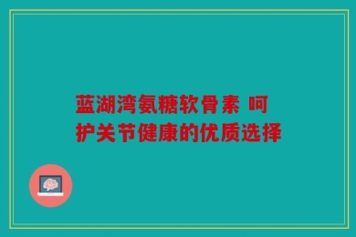 蓝湖湾氨糖软骨素 呵护关节健康的优质选择