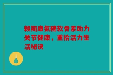 赖斯康氨糖软骨素助力关节健康，重拾活力生活秘诀