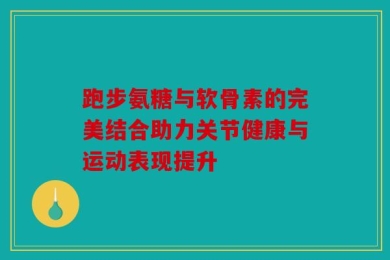跑步氨糖与软骨素的完美结合助力关节健康与运动表现提升