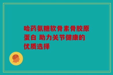 哈药氨糖软骨素骨胶原蛋白 助力关节健康的优质选择