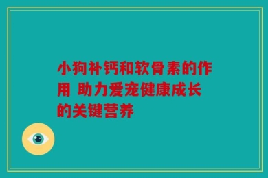 小狗补钙和软骨素的作用 助力爱宠健康成长的关键营养