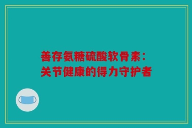 善存氨糖硫酸软骨素：关节健康的得力守护者