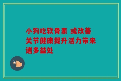 小狗吃软骨素 或改善关节健康提升活力带来诸多益处