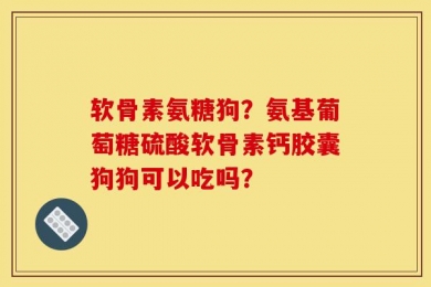 软骨素氨糖狗？氨基葡萄糖硫酸软骨素钙胶囊狗狗可以吃吗？