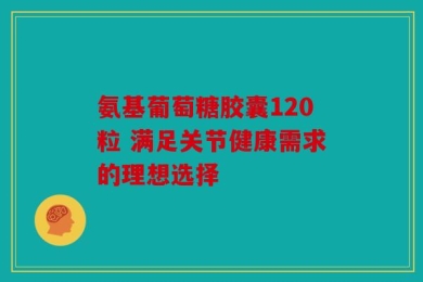 氨基葡萄糖胶囊120粒 满足关节健康需求的理想选择