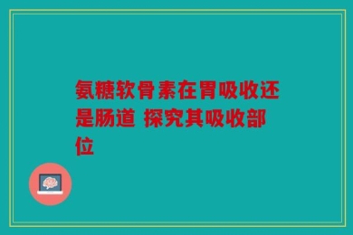 氨糖软骨素在胃吸收还是肠道 探究其吸收部位