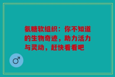 氨糖软组织：你不知道的生物奇迹，助力活力与灵动，赶快看看吧