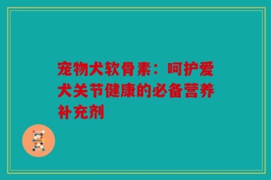 宠物犬软骨素：呵护爱犬关节健康的必备营养补充剂