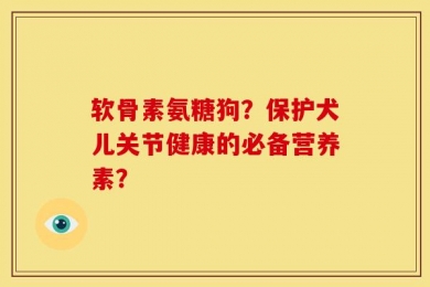 软骨素氨糖狗？保护犬儿关节健康的必备营养素？