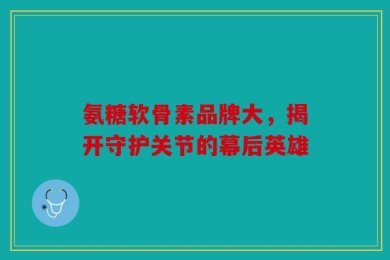 氨糖软骨素品牌大，揭开守护关节的幕后英雄