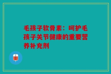 毛孩子软骨素：呵护毛孩子关节健康的重要营养补充剂