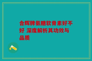合辉牌氨糖软骨素好不好 深度解析其功效与品质