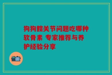 狗狗髋关节问题吃哪种软骨素 专家推荐与养护经验分享