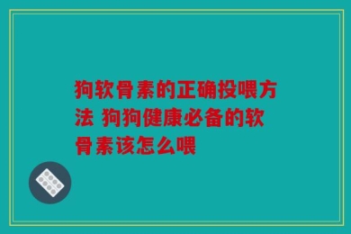 狗软骨素的正确投喂方法 狗狗健康必备的软骨素该怎么喂