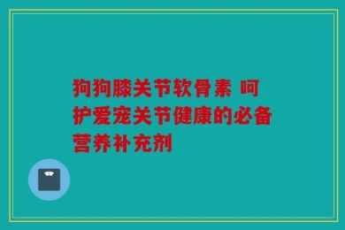 狗狗膝关节软骨素 呵护爱宠关节健康的必备营养补充剂