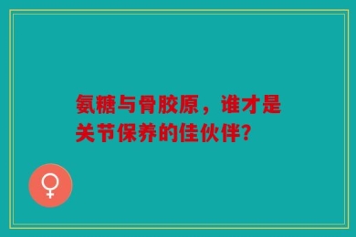 氨糖与骨胶原，谁才是关节保养的佳伙伴？