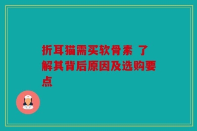 折耳猫需买软骨素 了解其背后原因及选购要点