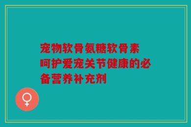 宠物软骨氨糖软骨素 呵护爱宠关节健康的必备营养补充剂