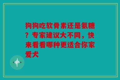 狗狗吃软骨素还是氨糖？专家建议大不同，快来看看哪种更适合你家爱犬